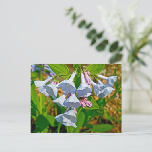 Virginia Bluebells Coordinated Items Briefkaart (Staand voorkant)