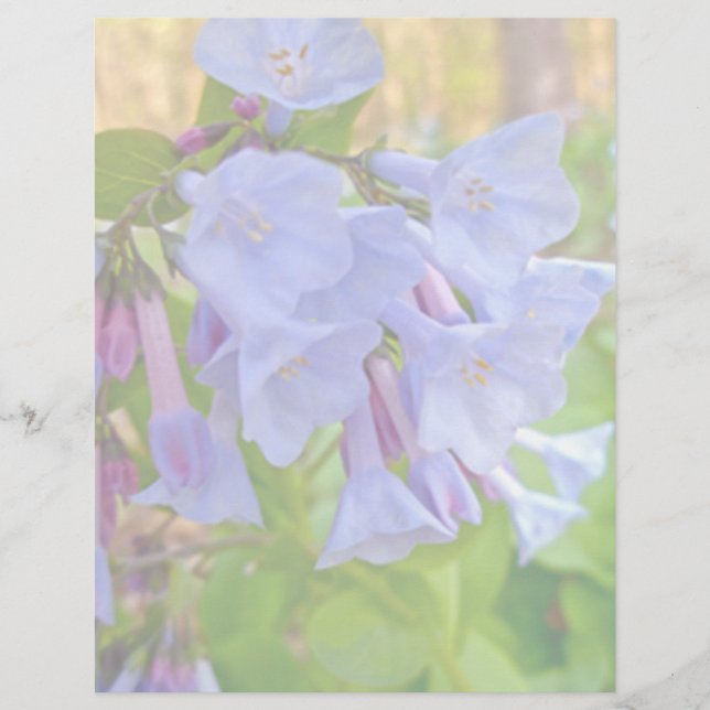 Virginia Bluebells Coordinating Items (Voorkant)