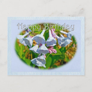 Virginia Bluebells Happy Birthday Coordinated Item Briefkaart