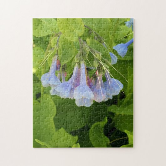 Virginia Bluebells Legpuzzel (Verticaal)