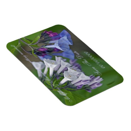 Virginia Bluebells Wildbloemen - Bewaar de datum Magneet (Rechterzijde)