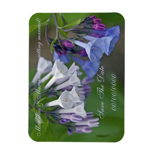 Virginia Bluebells Wildbloemen - Bewaar de datum Magneet (Verticaal)