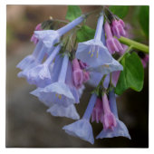 Virginia Bluebells Wildflower Tile Tegeltje (Voorkant)