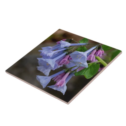 Virginia Bluebells Wildflower Tile Tegeltje (Zijkant)