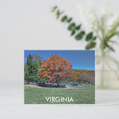 VIRGINIA BRIEFKAART (Staand voorkant)