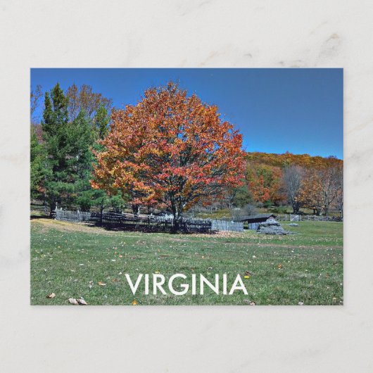 VIRGINIA BRIEFKAART (Voorkant)