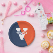 Virginia Cavaliers Color Block Distress Papieren Bordje (Feest)