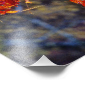 Virginia Creeper helder rood in het najaar Foto Afdruk (Hoek)