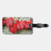 Virginia Creeper Leaves Bagagelabel (Achterkant horizontaal)