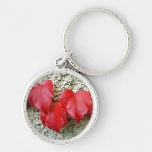 Virginia Creeper Leaves Key Ring Sleutelhanger (Voorkant)