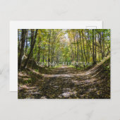 Virginia Creeper Trail Briefkaart (Voorkant / Achterkant)