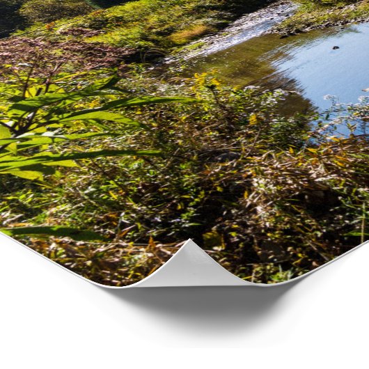 Virginia Creeper Trail Poster (Hoek)