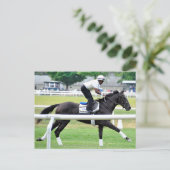 Virginia Derby Winner "War Dancer" Briefkaart (Staand voorkant)