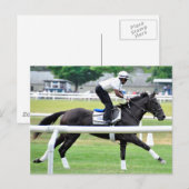Virginia Derby Winner "War Dancer" Briefkaart (Voorkant / Achterkant)