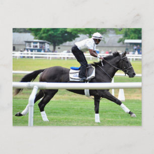 Virginia Derby Winner "War Dancer" Briefkaart