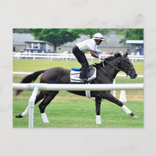 Virginia Derby Winner "War Dancer" Briefkaart (Voorkant)