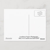 Virginia Dogwood Briefkaart (Achterkant)