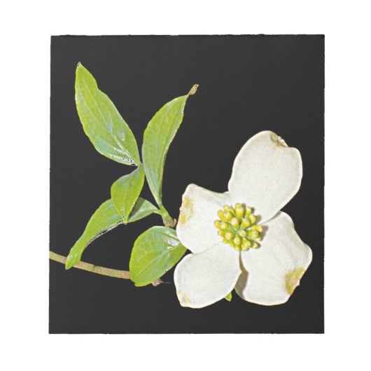 Virginia Dogwood Notitieblok (Voorkant)