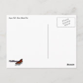 Virginia Falls II at Glacier National Park Briefkaart (Achterkant)