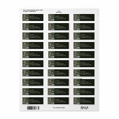 Virginia Falls II at Glacier National Park Etiket (Full Sheet)