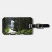 Virginia Falls in Glacier National Park Bagagelabel (Voorkant horizontaal)