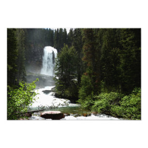 Virginia Falls in Glacier National Park Foto Afdruk