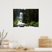 Virginia Falls in Glacier National Park Poster (Keuken)