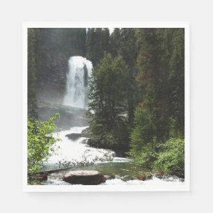 Virginia Falls in Glacier National Park Servet