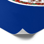 Virginia Flag Poster (Hoek)