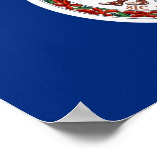 Virginia Flag Poster (Hoek)