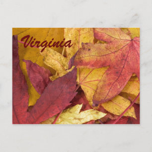 Virginia Herfstbladeren Ansichtkaart Briefkaart