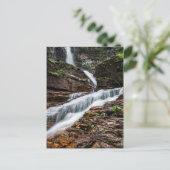 Virginia Herfsten Briefkaart (Staand voorkant)