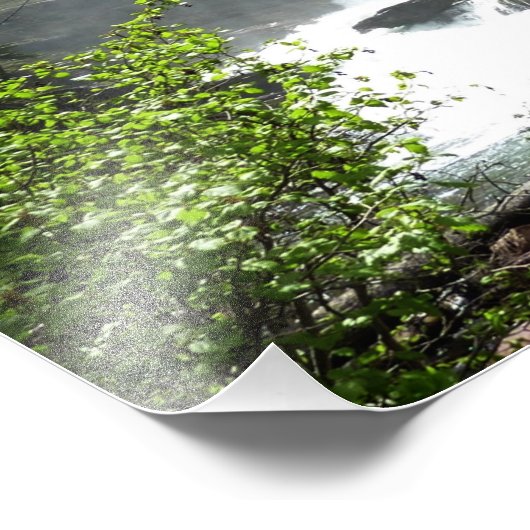 Virginia Herfsten in het Glacier National Park Foto Afdruk (Hoek)