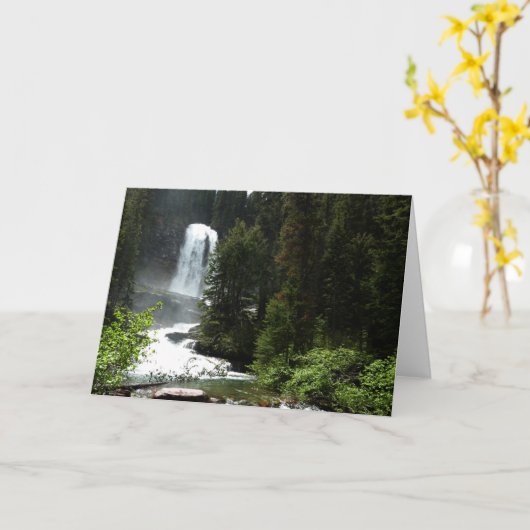 Virginia Herfsten in het Glacier National Park Kaart (Gele Bloem)