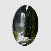 Virginia Herfsten in het Glacier National Park Ornament (voorkant)