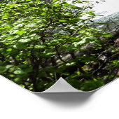 Virginia Herfsten in het Glacier National Park Poster (Hoek)