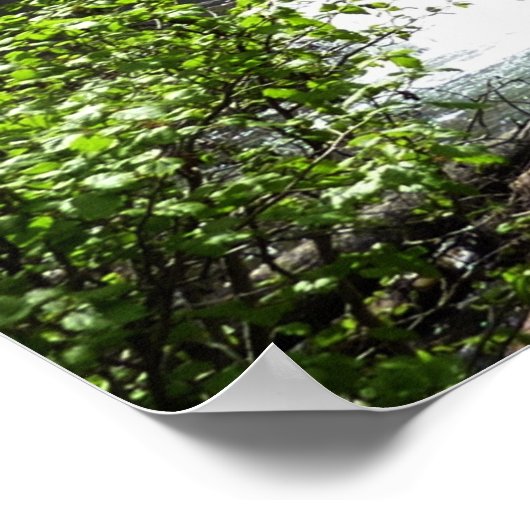 Virginia Herfsten in het Glacier National Park Poster (Hoek)