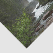 Virginia Herfsten in het Glacier National Park Tissuepapier (Detail)