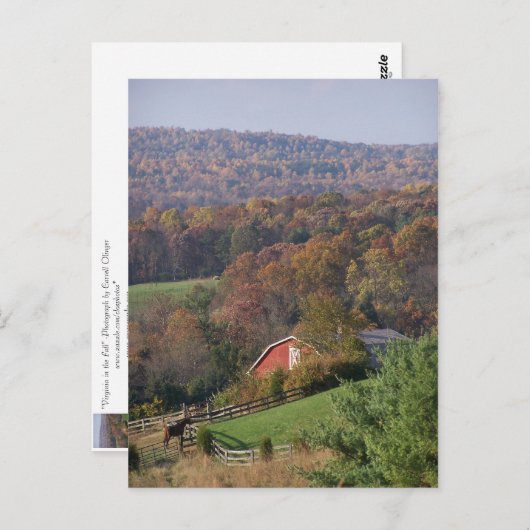 Virginia in de Herfst Briefkaart (Voorkant / Achterkant)