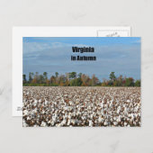 Virginia in het najaar briefkaart (Voorkant / Achterkant)