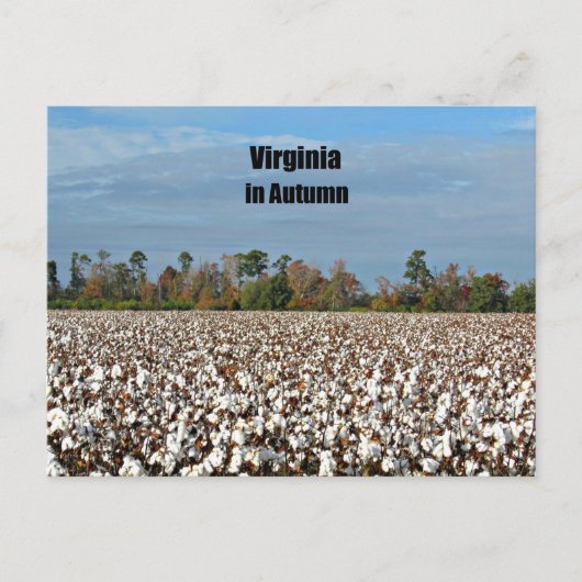 Virginia in het najaar briefkaart (Voorkant)