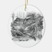 Virginia Kendall Ledges Trail (CVNP) Keramisch Ornament (Links)