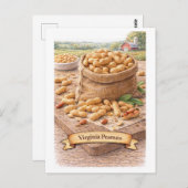 Virginia Peanuts (American Food Series) Briefkaart (Voorkant / Achterkant)