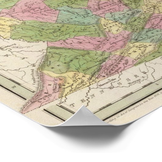 Virginia Poster (Hoek)