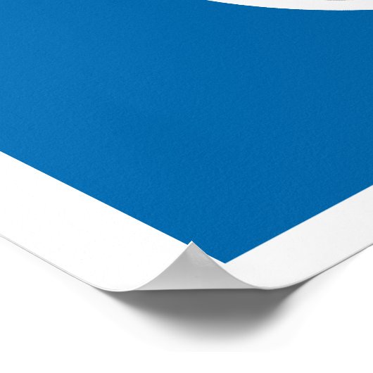 VIRGINIA POSTER (Hoek)