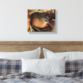 Virginia Rail in de onderborstel Canvas Afdruk (Insitu (Slaapkamer))
