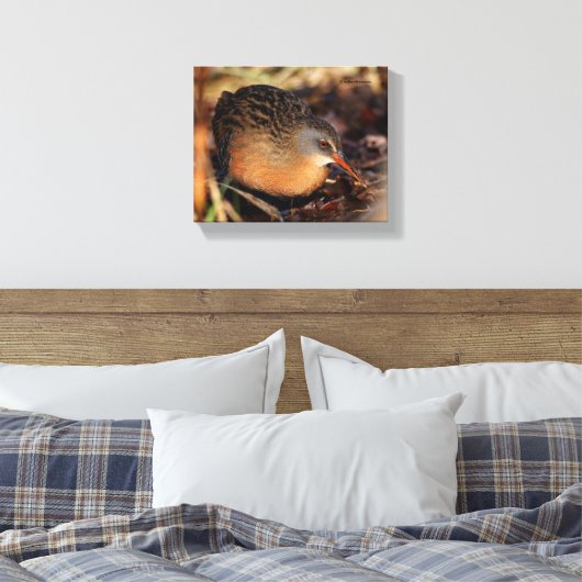Virginia Rail in de onderborstel Canvas Afdruk (Insitu (Slaapkamer))