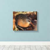 Virginia Rail in de onderborstel Canvas Afdruk (Insitu (Houten vloer))
