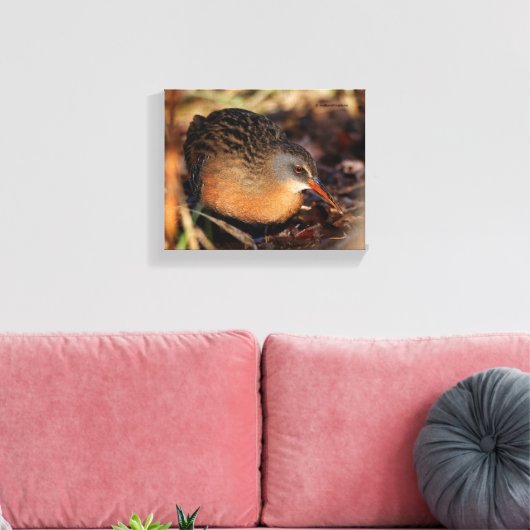 Virginia Rail in de onderborstel Canvas Afdruk (Insitu (Woonkamer))