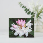 Virginia Rhododendron Briefkaart (Staand voorkant)